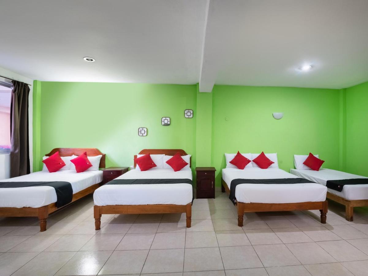 Capital O Hotel El Faisan Y El Venado Playa del Carmen Buitenkant foto